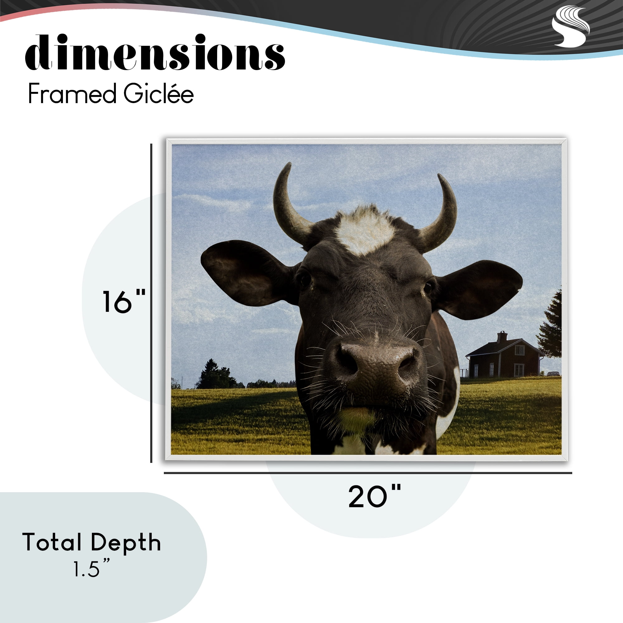 Stupell Industries Farm Cow with Curved Horns White Framed Giclee Art, design by Marcus Prime