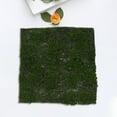 thumbnail image 4 of WHAMVOX Musgo Artificial Duradero Para Manualidades Y De Plantas En Macetas, 4 of 6