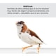 thumbnail image 5 of Alimento Para Ave Gorrión Supreme Finch 907gr Kaytee Alimento para aves, 5 of 5