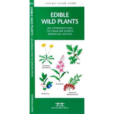 Edible Wild Plants A Folding Pocket Guide To Familiar