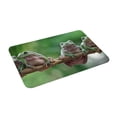 thumbnail image 2 of Fotbe Extra Durable Door Mat - Dirt Trapping Outdoor Welcome Mats - Non-Slip Outdoor Door Mats - Low Profile Front Door Mat - Indoor (16" x 24", Australian White Tree Frog Sitting on Branch ), 2 of 9