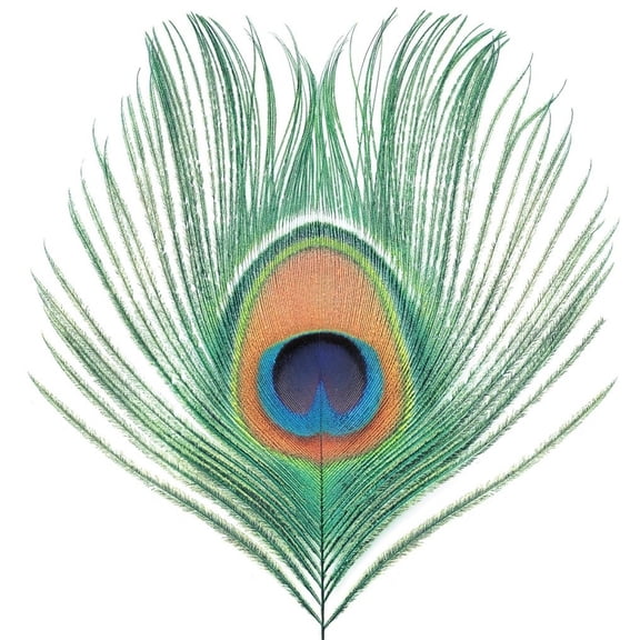 XTC - Apple Venus Vol 1 - Music & Performance - Vinyl