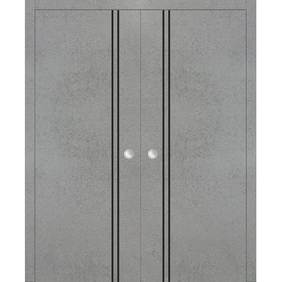 Sliding French Double Pocket Doors 36 x 80 inches | Planum 0016 Concrete with Frosted Glass | Kit Trims Rail Hardware | Solid Wood Interior Bedroom Sturdy Doors
