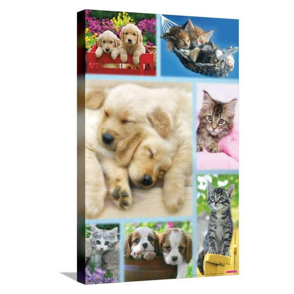 Keith Kimberlin - Puppies and Kittens Collage Canvas Wall Poster, 14.725" x 22.375"