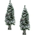 thumbnail image 3 of Fraser Hill Farm 4-Ft. Christmas Snow Flocked Porch Trees with Oversized Pinecones, Set of 2, FF048CHPT001-0SN/S2, 3 of 8