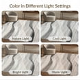 thumbnail image 7 of ODIKA Under Plush Sweeping Neutral Gradient Artful Composition Grey for Queen Size Bedroom, Bed, Master Suite, Foldable Easy Care, 7 of 7