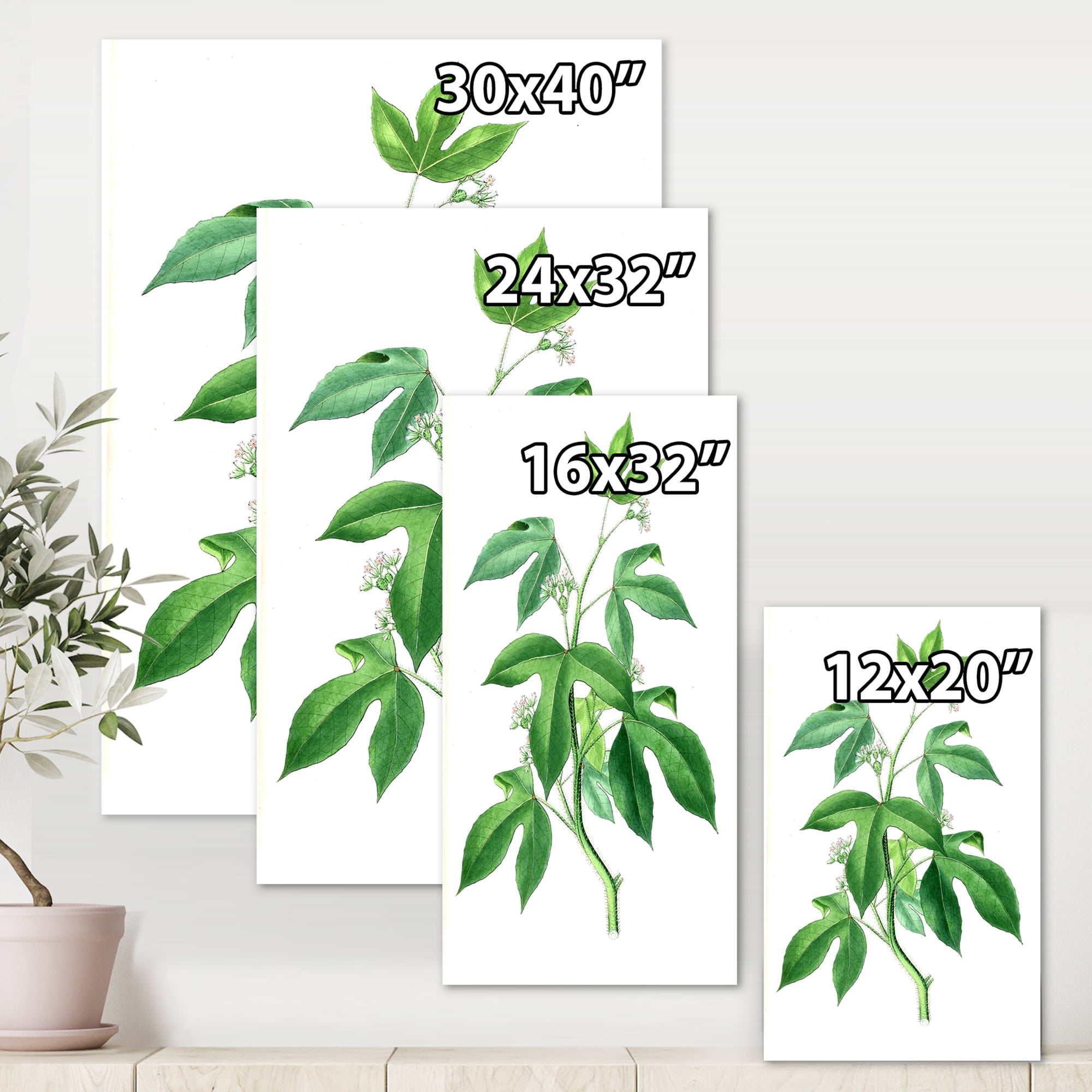 Designart ' Ancient Green Leaves Plants V ' Traditional Canvas Wall Art Print