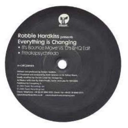 Robbie Hardkiss Everything Is Changing (Vinyl Record)