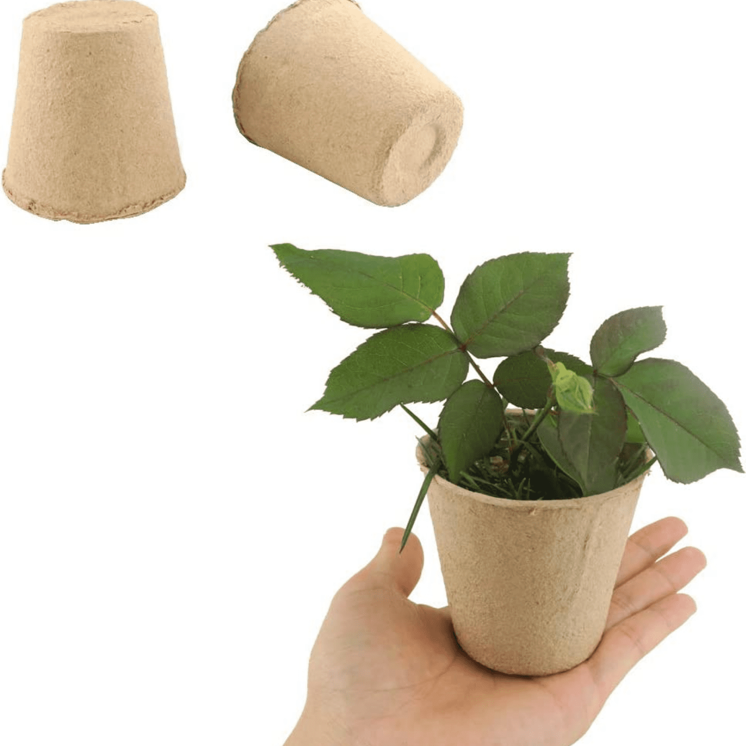Seed Starter Pots 144pcs Biodegradable Planter Pot for Germination Seedling Starting Seeds Nursery Peat Pots for Indoor & Outdoor Gardening Cup Tools Eco-Friendly 12pcs Packs Set of 12 Total 144