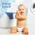 thumbnail image 3 of All Liquid Laundry Detergent, Gentle for Baby, 24 Loads, 30 fl oz, 3 of 8