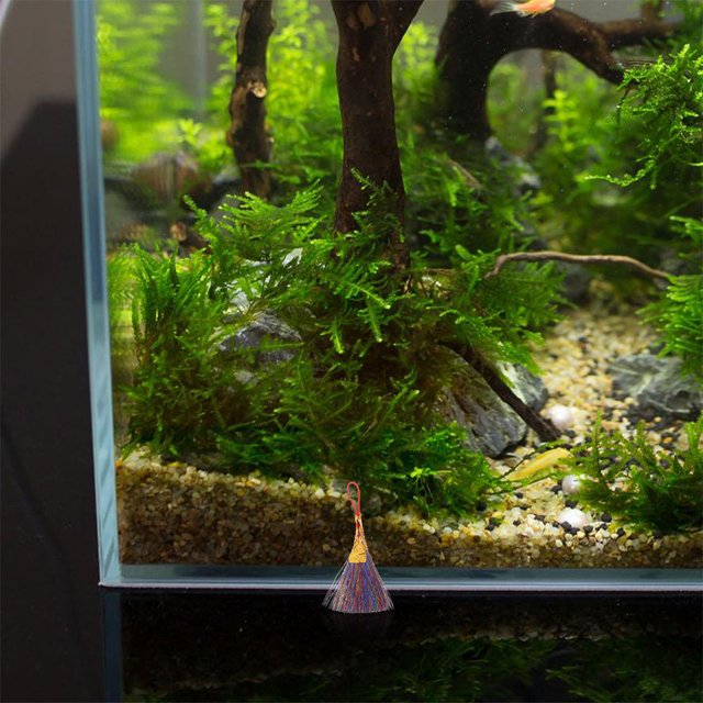 BESTYASH 12Ud Mopa De Crianza Para Peces Accesorio Acuario Para Control Y Observación