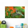 thumbnail image 1 of Inflight Hummingbird Wall Mural by Wallmonkeys Peel and Stick Graphic (48 in W x 29 in H) WM209121, 1 of 4
