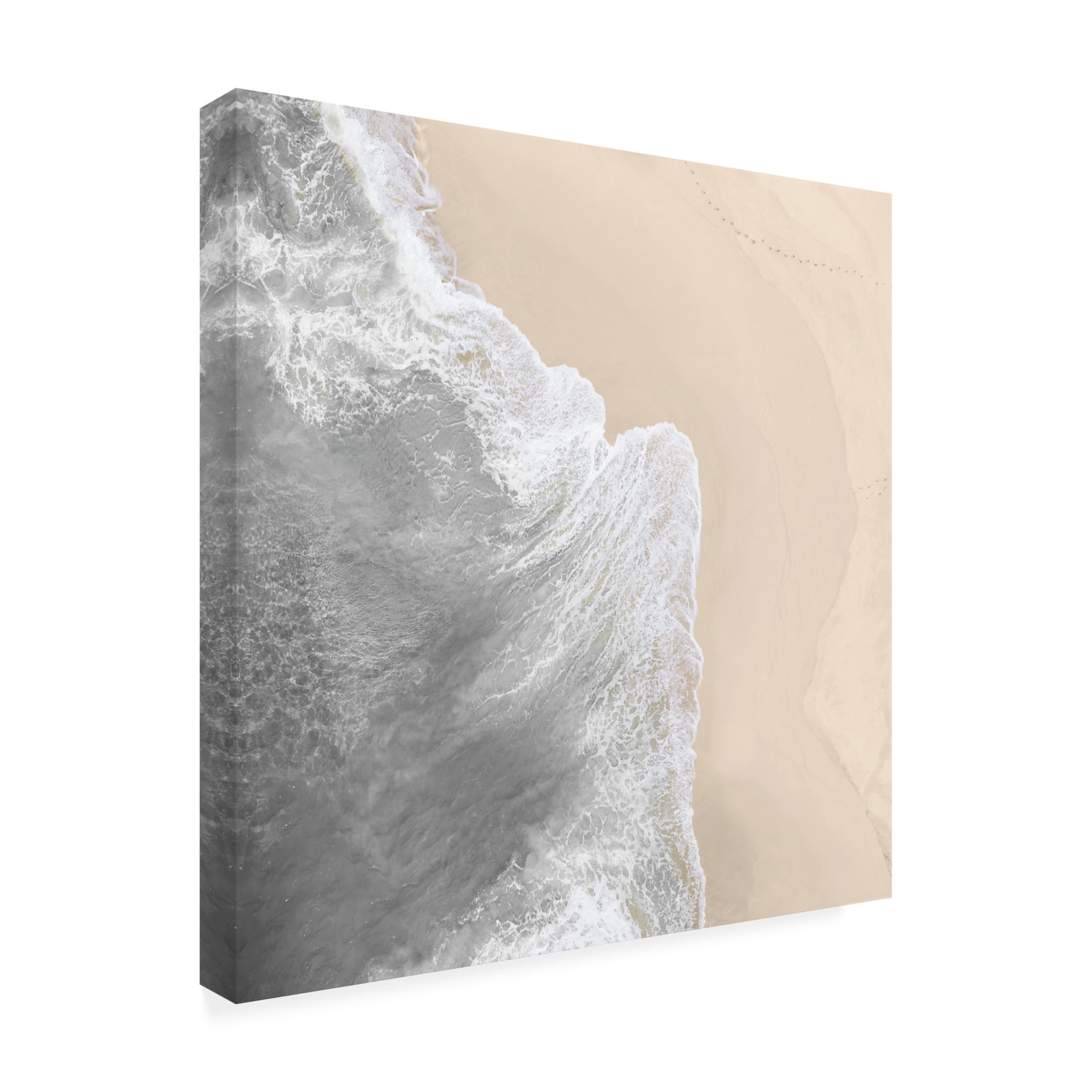Canvas Wall Art - Sasha 'Apricot Shore' Wall Art for Living Room, Bedroom, or Office Décor by Trademark Fine Art - 35 x 35 Inches