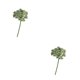thumbnail image 1 of Diente de León Artificial Injueey Ramo Decorativo Luz Blanca 2Conjunto, 1 of 6