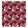 thumbnail image 3 of Ambesonne Floral Shower Curtain, Chrysanthemums Blooms Art, 69"Wx70"L, Maroon White, 3 of 3