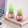 thumbnail image 4 of 6 uds simulación de flores falsas cebra aloe suculentas accesorios creativos DIY suministros plantas verdes artificiales, 4 of 6