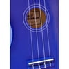 Pyle PGAKT10BL Acoustic Guitar