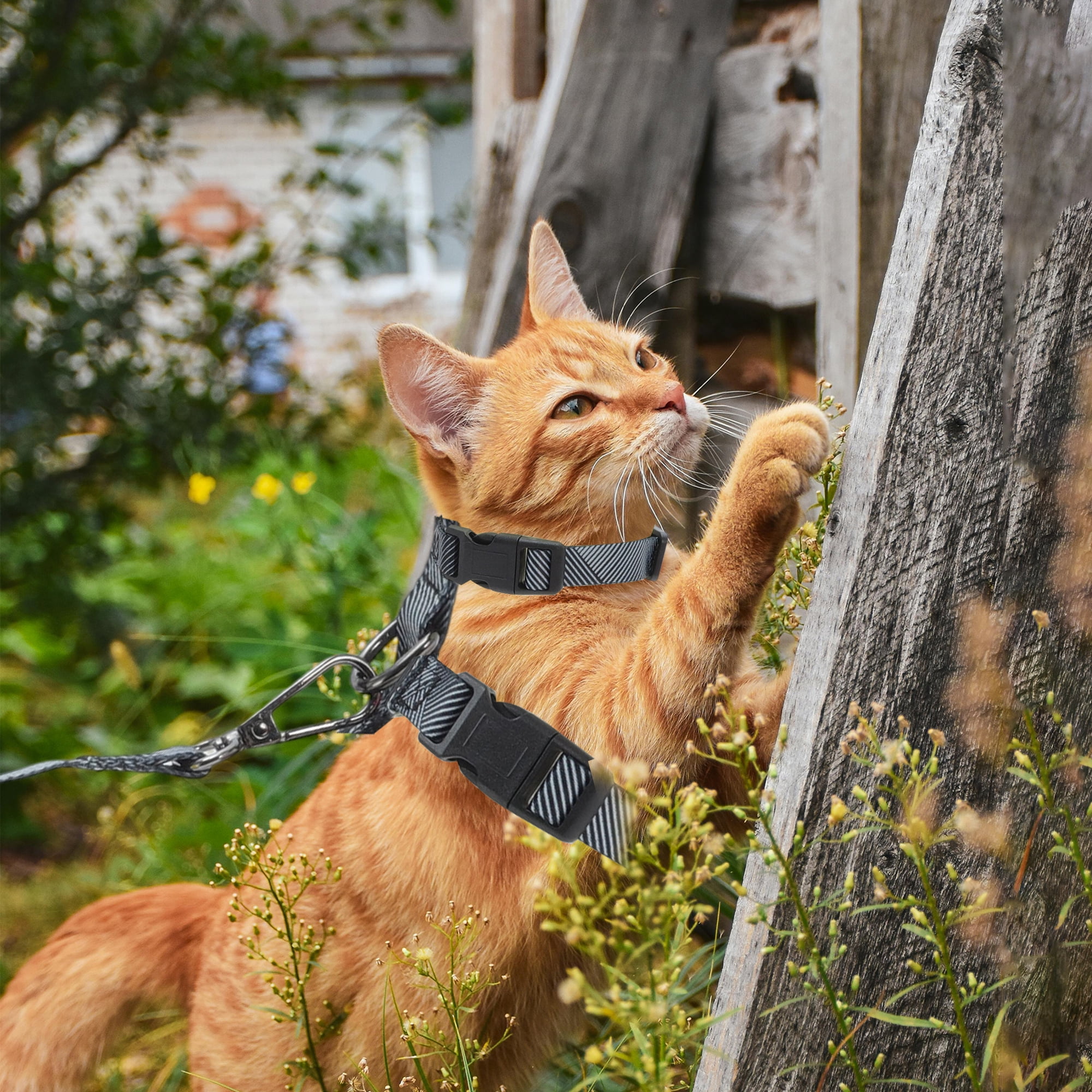 Unique Bargains Cat Harness and Leash Set Escape Proof for Cats Gray