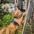 thumbnail image 2 of Unique Bargains Cat Harness and Leash Set Escape Proof for Cats Gray, 2 of 7