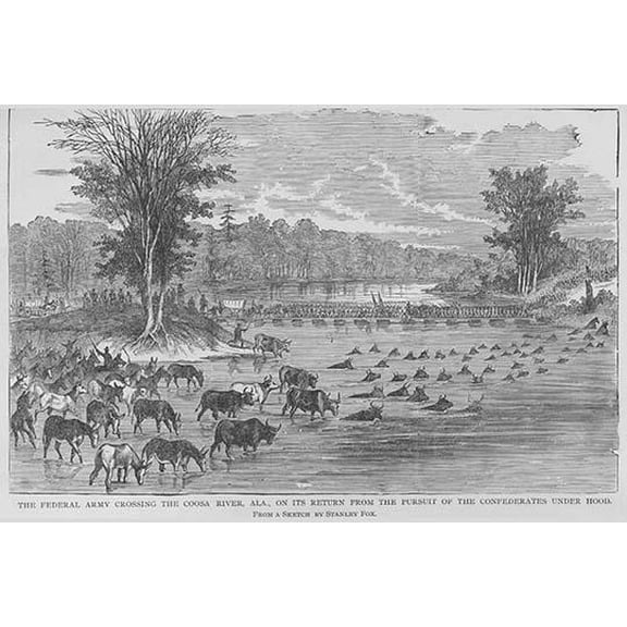 Animals ford Coosa river along with Federals that have been chasing General Hood-Fine Art Canvas Print (20" x 30")