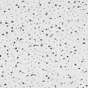 USG Ceilings Radar Basic R2110 Non-Directional 24 in. L x 24 in. W 0.63 in. Square Edge Mineral