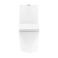 thumbnail image 2 of Brusque One-Piece Square Toilet Dual-Flush 1.1/1.6 gpf, 2 of 15