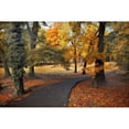 thumbnail image 3 of Jenney, Jessica 24x17 Black Modern Framed Museum Art Print Titled - Entrance to Autumn, 3 of 5