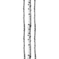 thumbnail image 1 of Wall Pops DWPK2756 Silver Birches Wall Decal/Art Kit, White/Off-White, 1 of 3