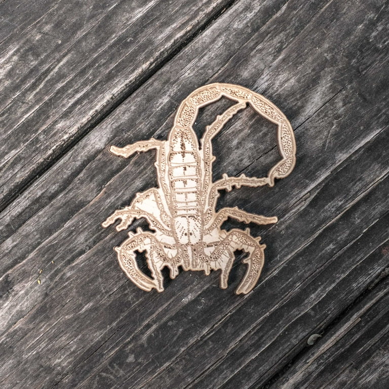 Ornament - Scorpion - Raw Wood 3x4in Ornament - Scorpion - Raw Wood 3x4in