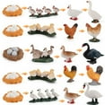 thumbnail image 4 of 4PCS Farm Animals Figurines Life Cycle of Chicken Rooster Food Chain Animal Figures Toy Kit Educational School Project for Kids Toddlers, 4 of 5