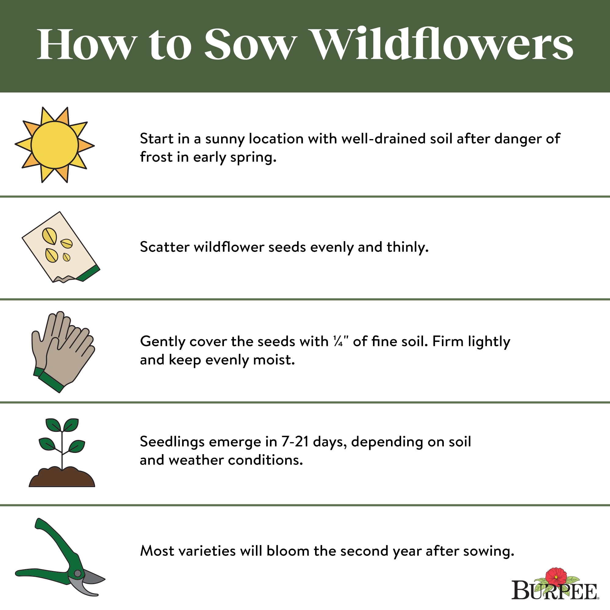 Burpee Perennial Mix Wildflower