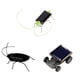 thumbnail image 3 of Niños Bebé Energía Solar Energía Insecto Insecto Saltamontes Niños Juguete Regalo Novedad Solar Juguetes divertidos seitruly WJ1280-01B, 3 of 7