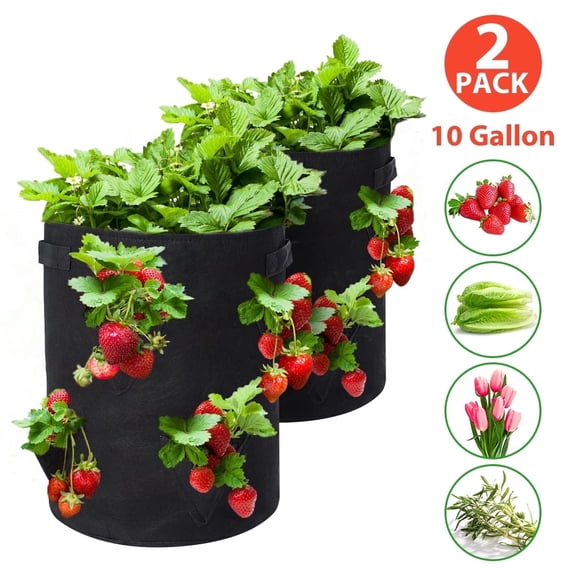AMAXUN 2 Pack 10 Gallon Strawberry Grow Bags, Non-woven Fabric Planter with Handles, Breathable for Strawberry Tomato Pepper (Black)