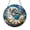 Acrylic 3.5 Inch, variant on Beach seashell stained style hanging, nautical window decor
