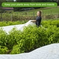 thumbnail image 2 of CSChome Cold-proof Cloth for Plants Breathable Plant Protection Cover: Windproof Rapid Growth Promotion (Cold Weather Protective Floating Row Covers for Plants, 1Pc), 2 of 6