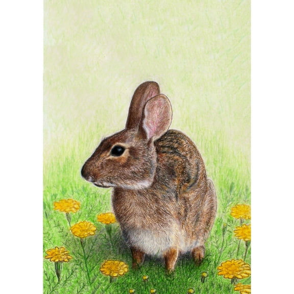 Betsy Drake Rabbit Guest Towel Set of 2