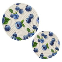 Blueberry Fruits Pot Holders Set Trivets Hot Pads Cotton Mats for Cooking