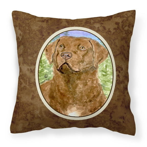 Carolines Treasures SS8933PW1414 Chesapeake Bay Retriever Fabric Decorative Pillow, 14Hx14W, multicolor
