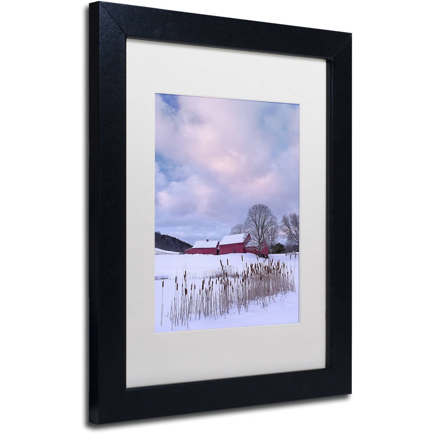 Trademark Fine Art "Cat O'Nine In Snow" Canvas Art by Michael Blanchette Photography White Matte, Black Frame