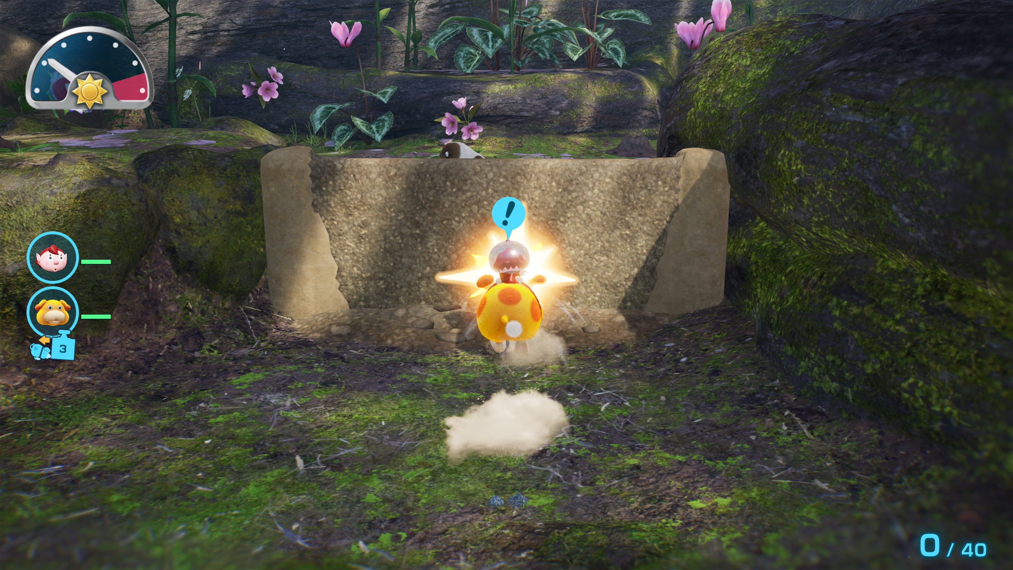 Pikmin™ 4 – Nintendo Switch™ 2 Edition + Dandori Academy