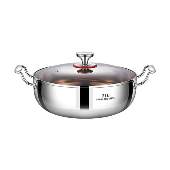 hejhncii Stainless Steel 316 Soup Pot with Lid - Thickened Dual Handle Hot Pot for Induction Cooker, Gas & Electric Stove, Home Kitchen Cooking Pot for Stewing, Boiling & Serving