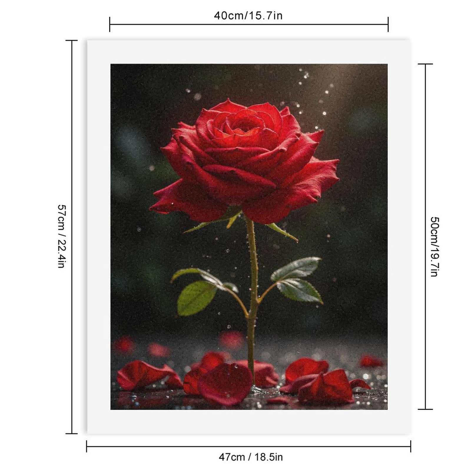 Paint by Numbers Kit for Adults, Radiant Red Rose With Petals Droplets Paint by Numbers, Easy Paint by Numbers Kit for Adults Beginner, DIY Adult Paint by Number Kits on Canvas, Home Decor