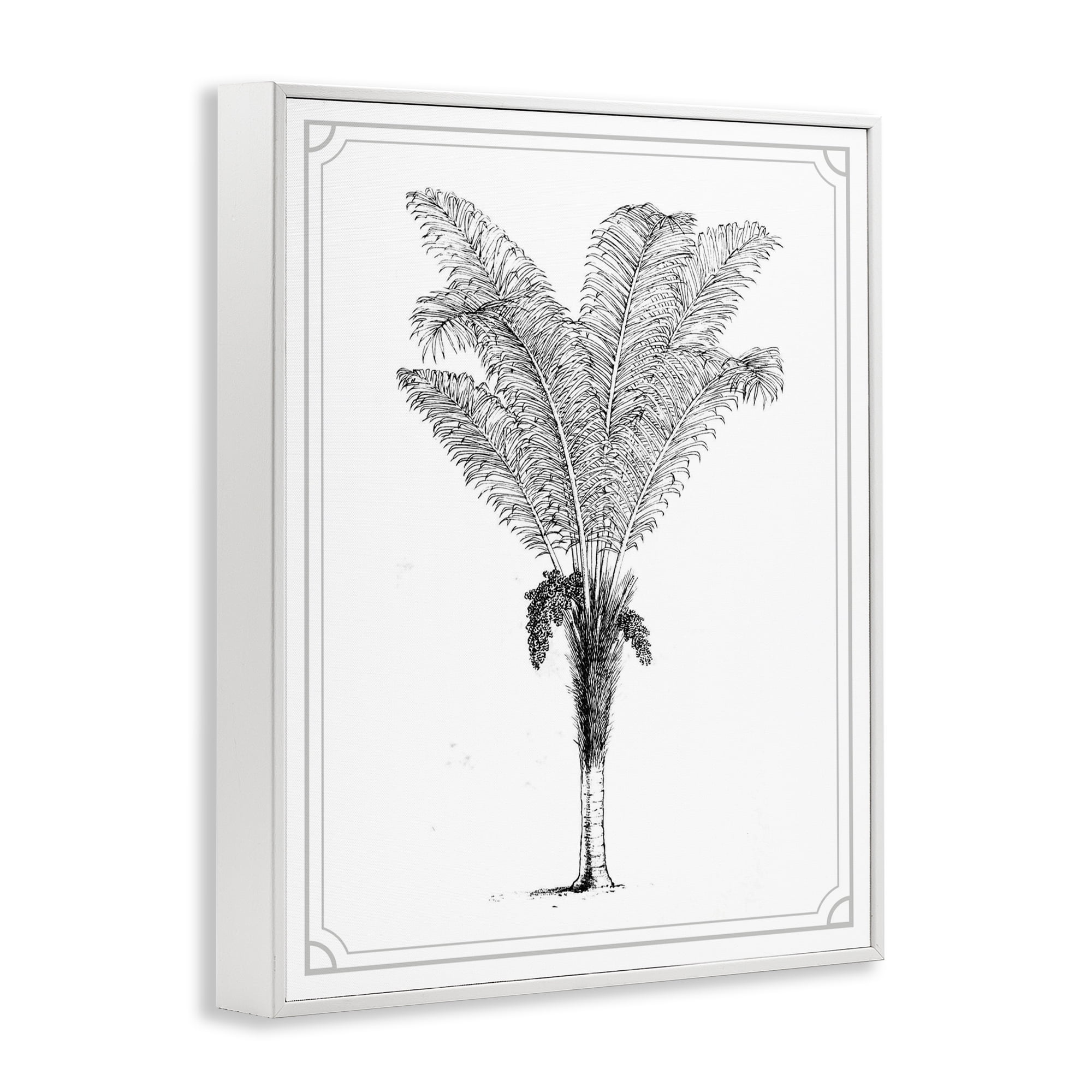 Vintage & Minimal Palm White Framed Giclee Art, design by Lettered and Lined