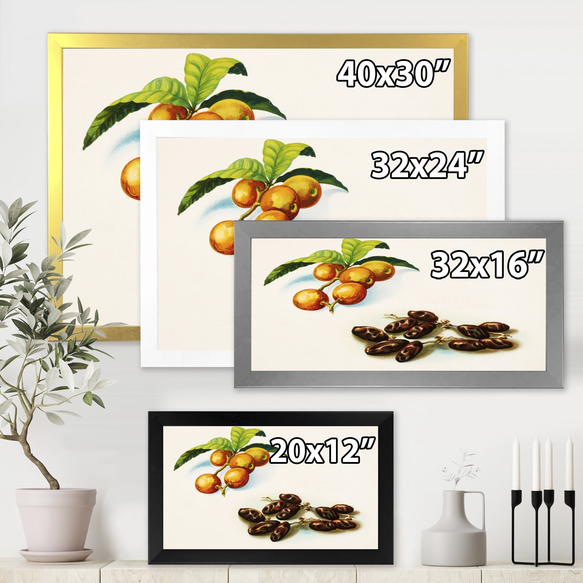 Designart 'Ancient Fruits IV' Farmhouse Framed Art Print