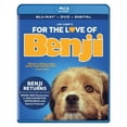 thumbnail image 1 of DISTRIBUTION SOLUTIONS pour LOVE BENJI (BR/DVD/DIGITAL) BRMV63316, 1 of 4