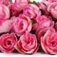 thumbnail image 3 of GOOHOCHY 60 rosas artificiales de 3 cm para ramos de boda, centros de mesa, decoración de fiestas (rosa), 3 of 8