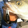 thumbnail image 4 of ACME Kastmaster 1 1/4" Fishing Spoon Lures for Saltwater Species with Treble Hook, 1/12 oz, 4 of 6