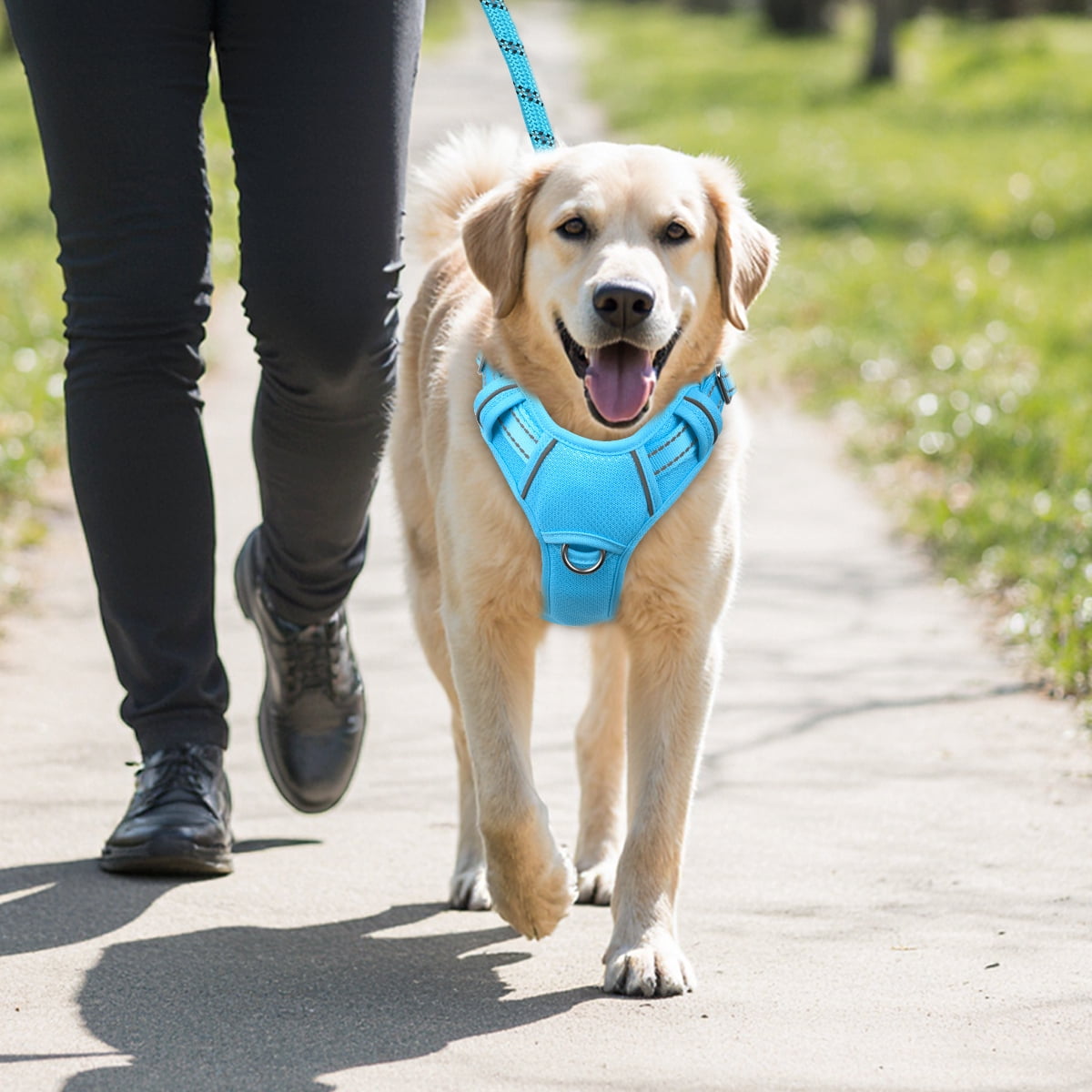 BARKBAY No Pull Dog Harness Large Reflective Dog Harness with Front Clip and Easy Control Handle for Walking Training Running with ID tag Pocket(Ocean Blue,L)