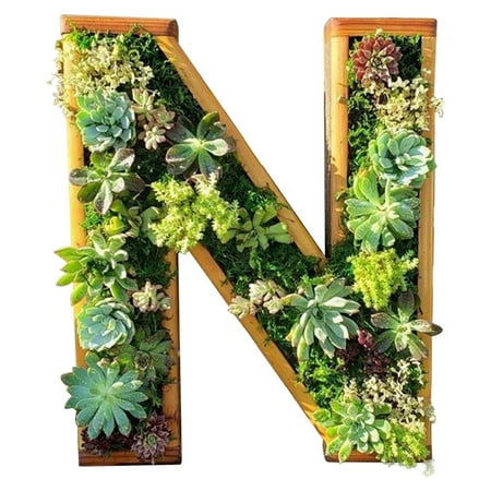 

Horticultural Water Basin Decorative Wall Wooden Monogram Letters with Artificial Succulents Bryophytes Vertical Artificial Garden Pots Living Wall Art