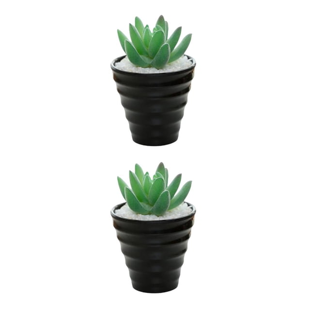 Inteprter Bonsái Artificial paisaje interior simulación decorativa suculenta miniatura Mini plantas adornos de arreglo de escritorio Tipo 1 2piezas